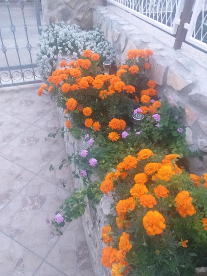 La Vita Daire Šibenik Dış mekan fotoğraf